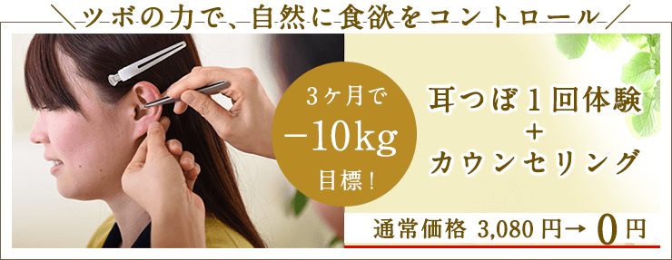ツボの力で、自然に食欲をコントロール 耳つぼ1回体験＋カウンセリング 通常価格　3,080円→ 0円